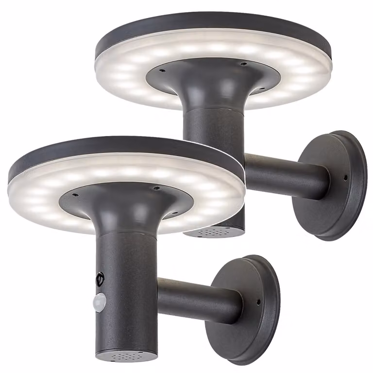 2 lampade da parete per esterni Rabalux, grado di protezione IP44, 10W, modello Alaska