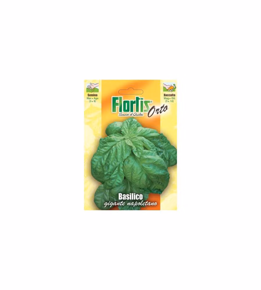 Flortis Semi di Basilico Gigante Napoletano - Sementi pronte per semina