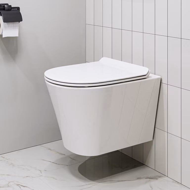 HOROW WC sospeso senza bordo Rivestimento nano effetto loto Sciacquone monoforo super-spinoso con sedile soft-close