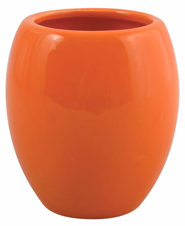 MSV Bad Stecknuss, arancione, 0