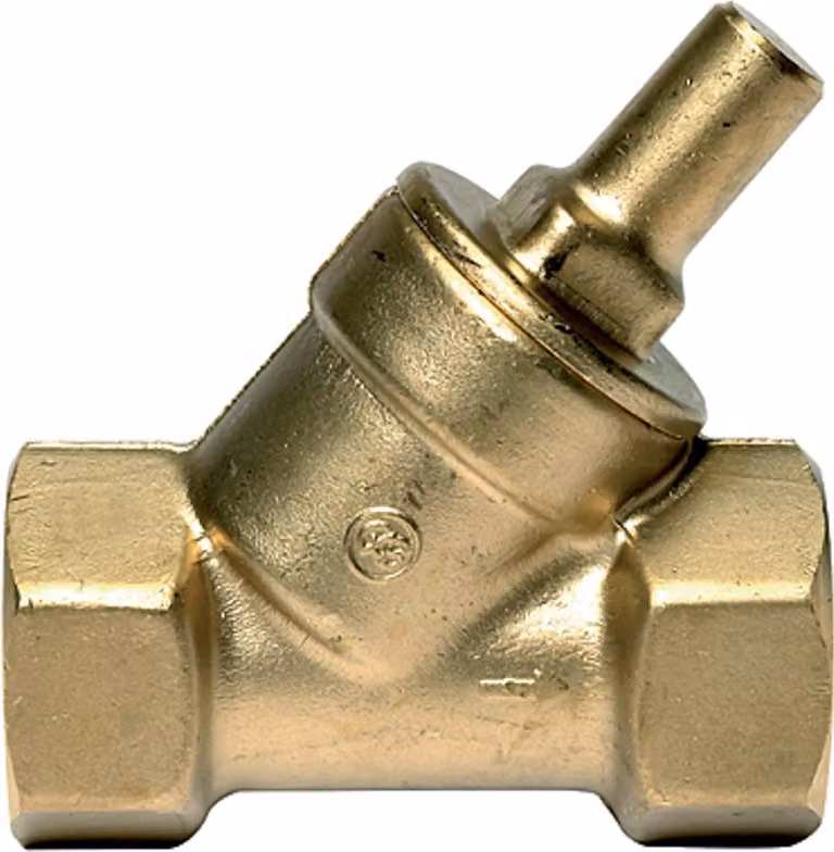 Valvola di ritegno Riegler, sede angolare, MS, Rp 2, 0,5 bar