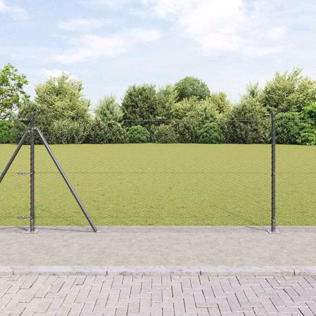 Maison Exclusive - Palo della recinzione Grigio 25 x 0,8 m (reticolo da 25 mm)