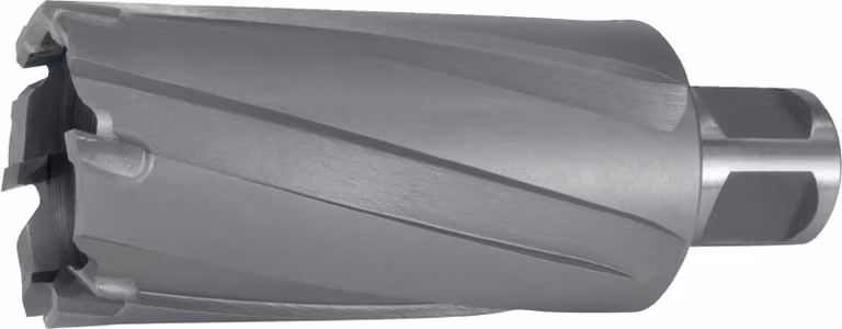 Ruko carotatrice diametro 20mm HM lunghezza 50mm Weldon - 108720