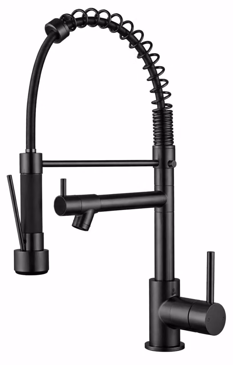 Rubinetto da cucina con funzione spray professionale, colore nero, modello Gastro BL-4402-GT, marca Aquanello