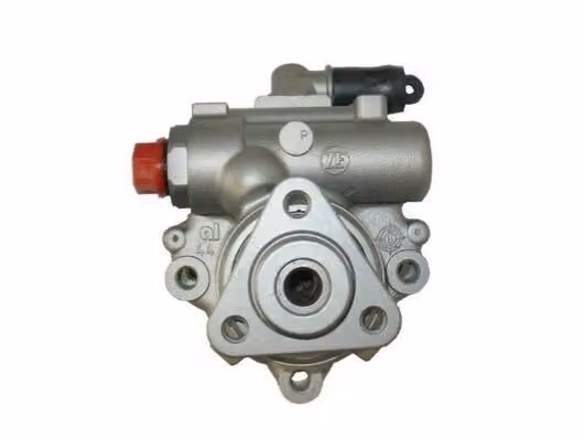 SPIDAN 53923 Pompa servosterzo Pompa servosterzo per VW PASSAT Variant (3B6) Idraulica