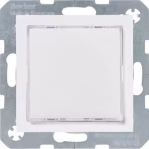 Berker 29518989 LUCE LED RGB M DEL Z-RA S.1/B.X PW GLÄ