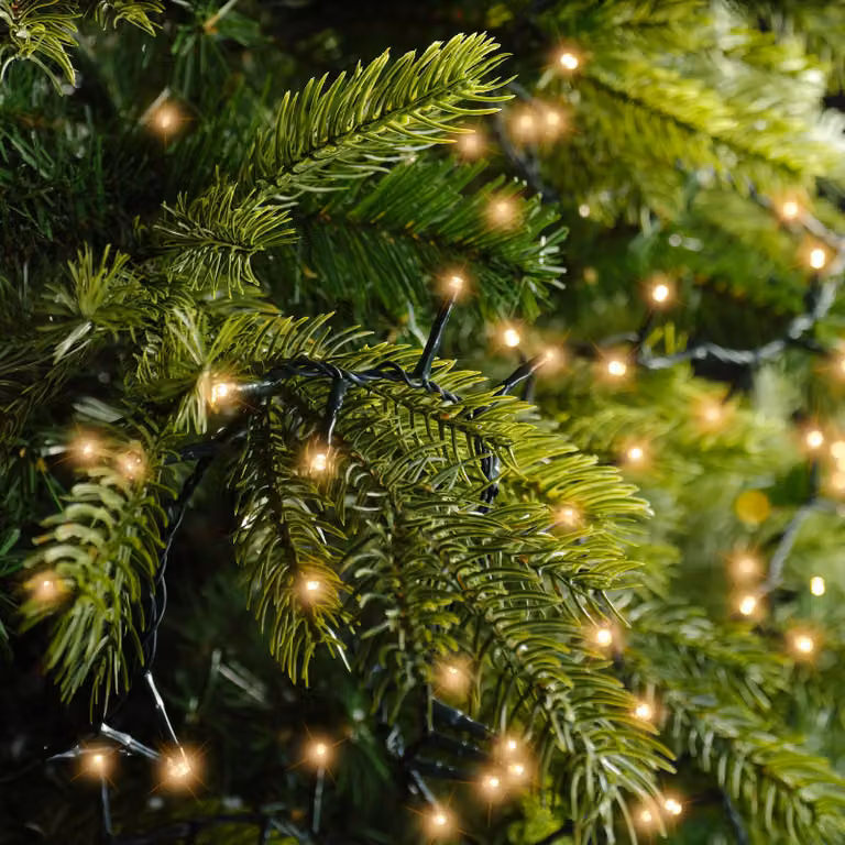 Kaemingk Lumineo luci fiabesche compatte 500 LED classiche calde per esterni 11 m verde