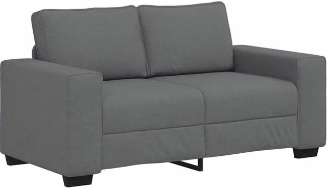 Divano | Divano da soggiorno | Sofa a 2 Posti Grigio Scuro 160x77x82 cm in Tessuto