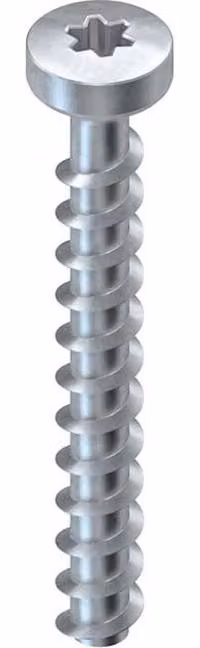 Niedax Ancoraggio a vite NSA 6X50/FKK-T30 V 100 pezzi