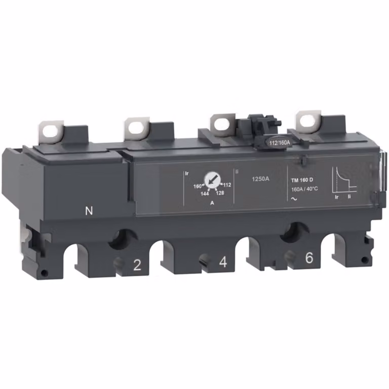 Dispositivo di sgancio termomagnetico Schneider Electric C106TM100