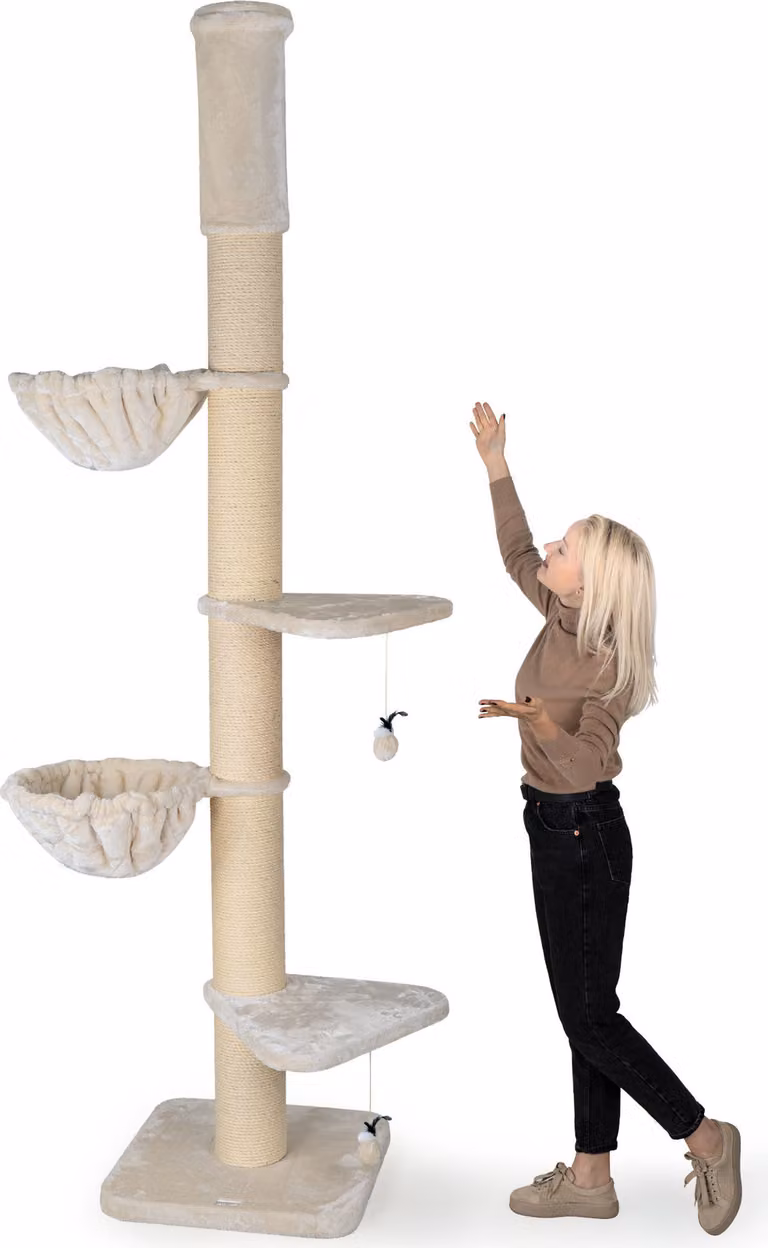 HAPPYPET Tiragraffi 'Leonardo' Gatti grandi Stabile XXL alto fino al soffitto, da 250 a 275 cm - pali spessi 18 cm, tiragraffi per gatti Maine Coon e Ragdolls