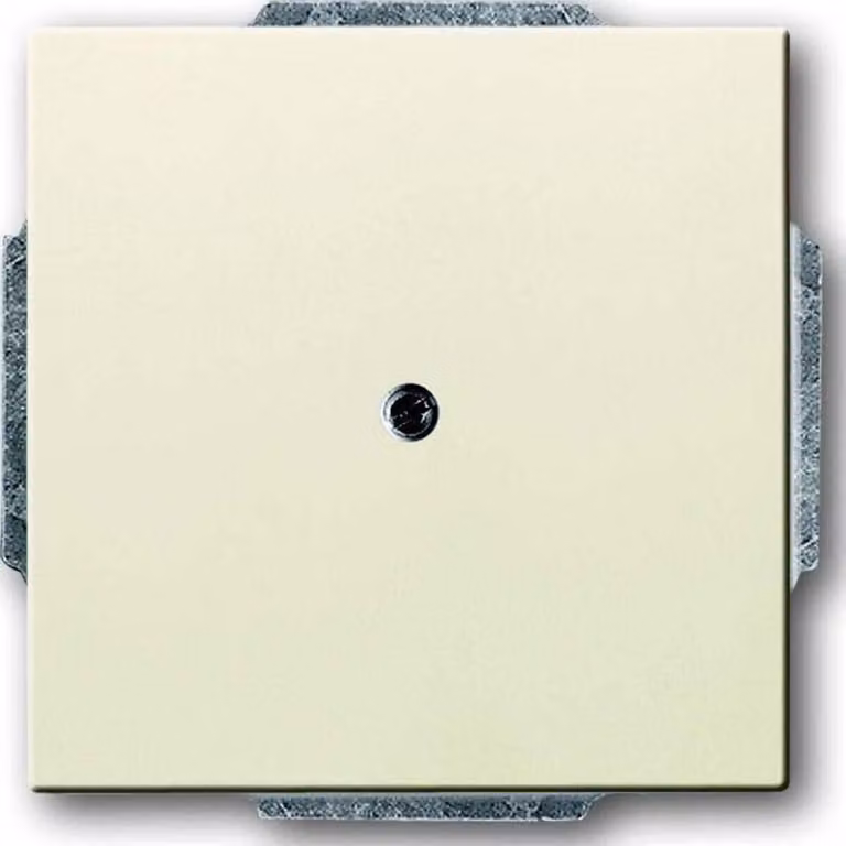 Disco centrale Busch-Jaeger sav/ews 1749-82 2CKA001710A3145
