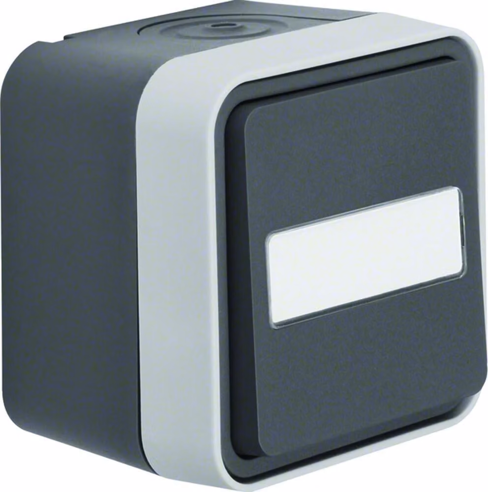 Commutatore Berker illuminato grigio chiaro 30763555