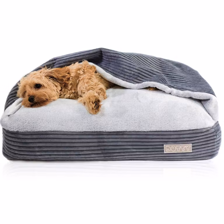 DOTTY Snuggle Cave Accogliente letto per cani Nido per gatti Sacco a pelo per cani - Tessuto a coste grigio grafite - Taglia XS (55 x 40 cm)