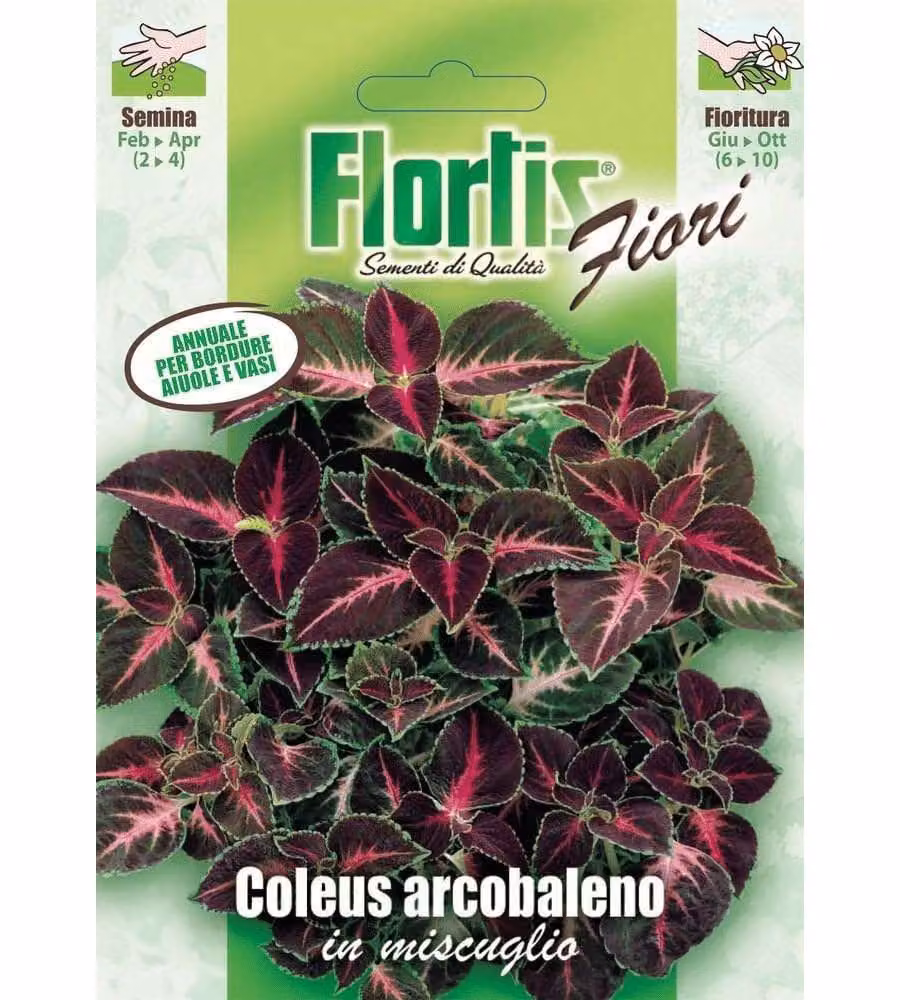 Flortis Sementi Coleus Arcobaleno Mix - Pianta annuale ornamentale