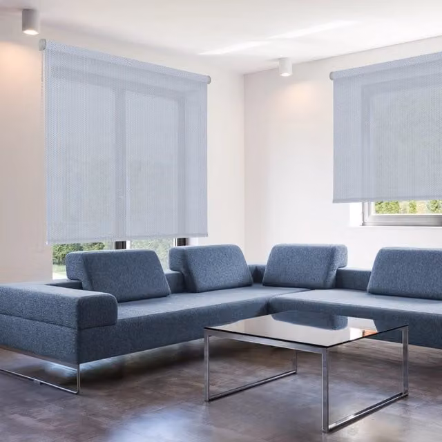 Tenda a rullo Screen Royal VIEWTEX Greenwich con grado di apertura 8% L: 150 cm, H: 250 cm
