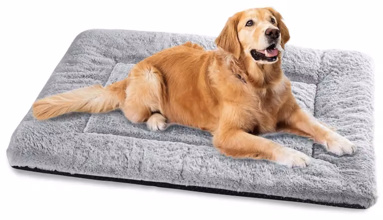Cuccia per cani di grossa taglia - Lavabile - 122 x 75 cm - Grigia