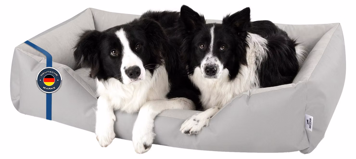 BedDog letto per cani ZARA cuscino per cani con rivestimento lavabile cesto per cani divano per cani, LIGHT-GREY (grigio chiaro), (XXL) circa 120x85x23cm