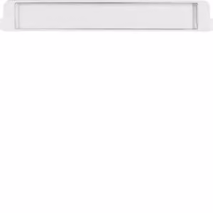 Berker 19050069 Pannello di scrittura ad incastro a filo con anello intermedio, bianco polare, lucido Zen