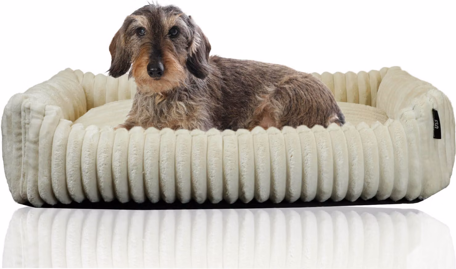 Tagliatubi Divano coccoloso Deluxe Letto per cani | fondo antiscivolo | Cesto per cani e gatti di piccola e media taglia in morbido velluto a coste | Dimensioni P 50 x L 70 x A 15 cm | in 2 diversi colori, colore: beige