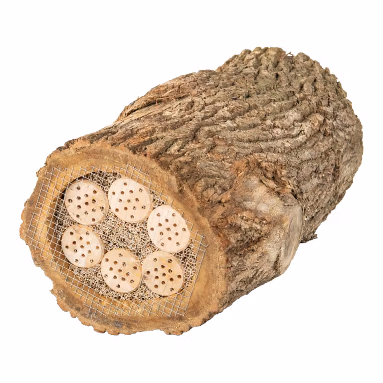Hotel per insetti aperto su entrambi i lati nel tronco d'albero MKW - casa per insetti di - resistente alle intemperie con rete - per api selvatiche e coccinelle