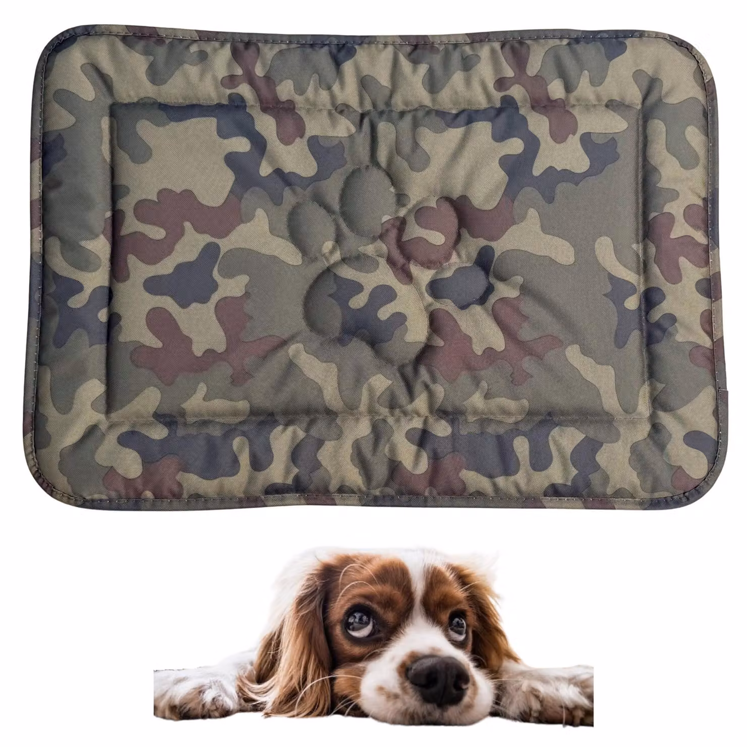 Tappeto per cani DOTTY con motivo a zampa - mimetico - misura S (60×45 cm) - robusto, impermeabile e antiscivolo per cani di piccola taglia