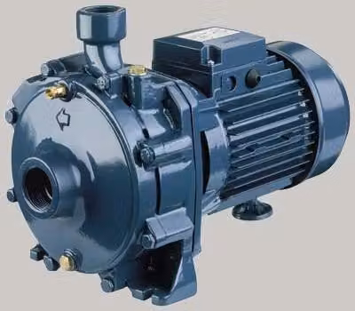 Elettropompa Centrifuga Bigirante in Ghisa Cda a 0,75 m Ebara