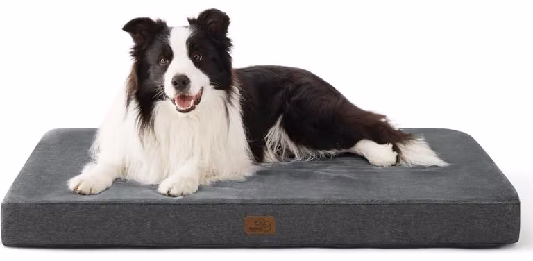 Cuscino ortopedico per cani, 89x56x8 cm, lavabile, con memory foam, colore grigio scuro, taglia L