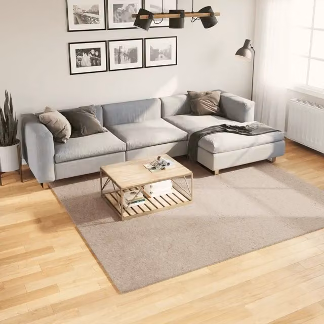 Tappeto Quadrato Moderno vidaXL in Poliestere, Lavabile e Antiscivolo, Colore Sabbia/Beige, L 240 x P 240 cm