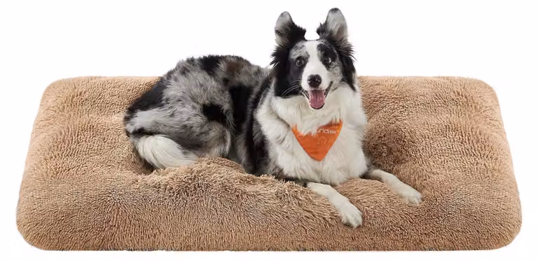 Cuccia per cani Feandrea, cuscino per cani, tappetino morbido per cani, peluche lungo, 122 x 74 cm, imbottitura soffice, lavabile, multifunzionale, color cammello, modello PGW204K01