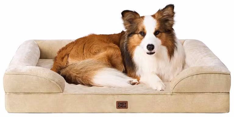 Cuccia ortopedica per cani, 104x69 cm, color beige chiaro, con supporti per il collo, impermeabile e antiscivolo