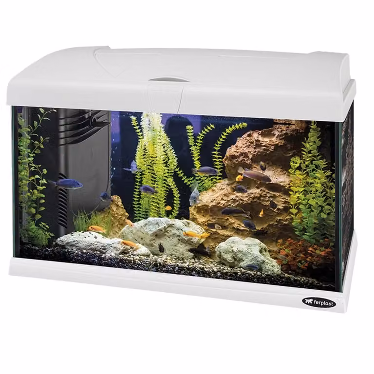 Acquario Completo Ferplast Capri 50 LED Colore Bianco