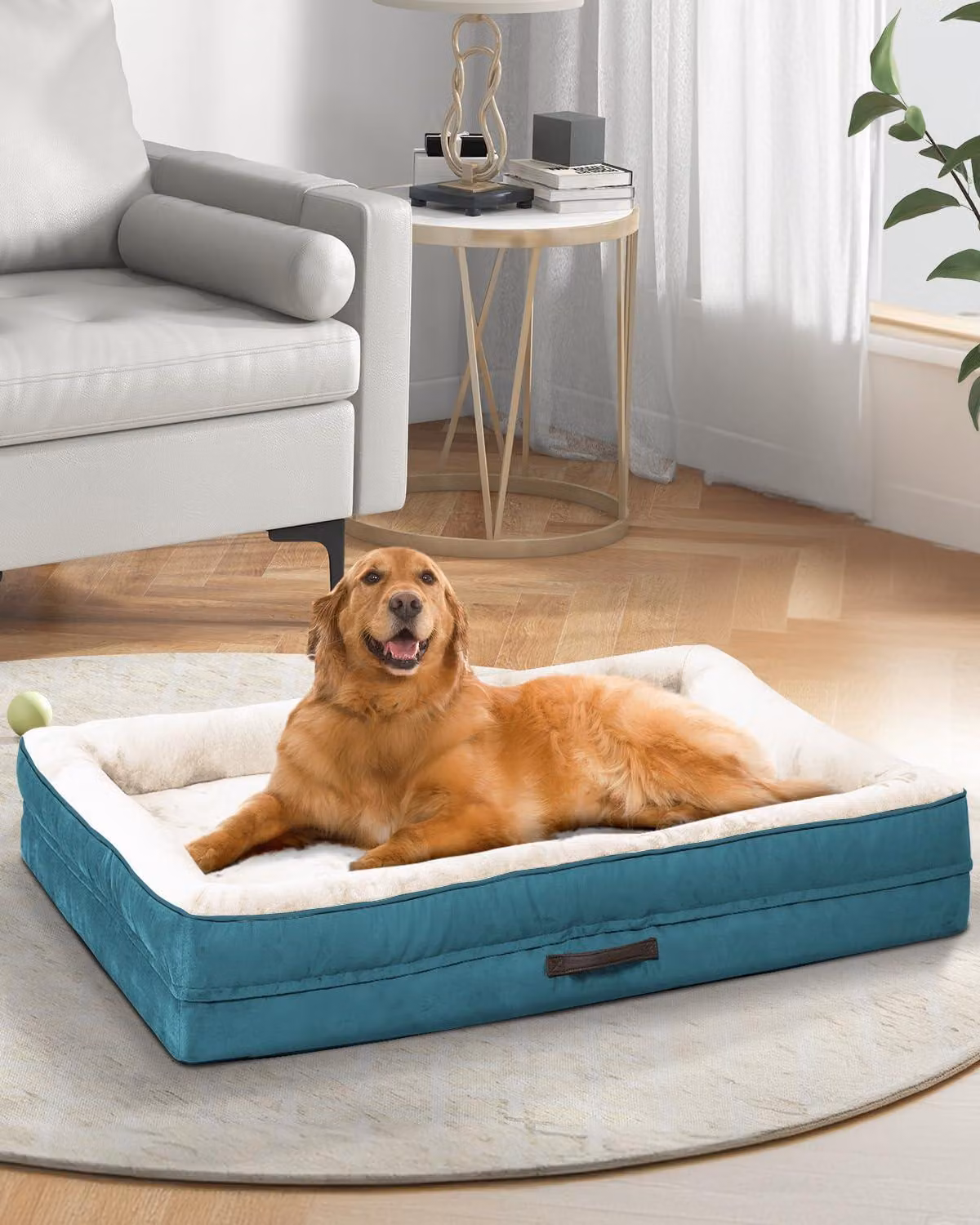 Cuccia ortopedica per cani, taglia XL, realizzata in schiuma a forma di scatola, dimensioni 117 x 76 x 19 cm, lavabile, ideale per cani anziani