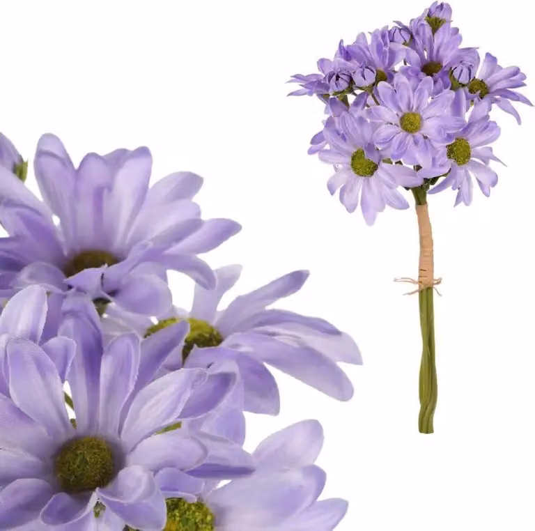 Autronic Daisy viola KT7050 LILA
