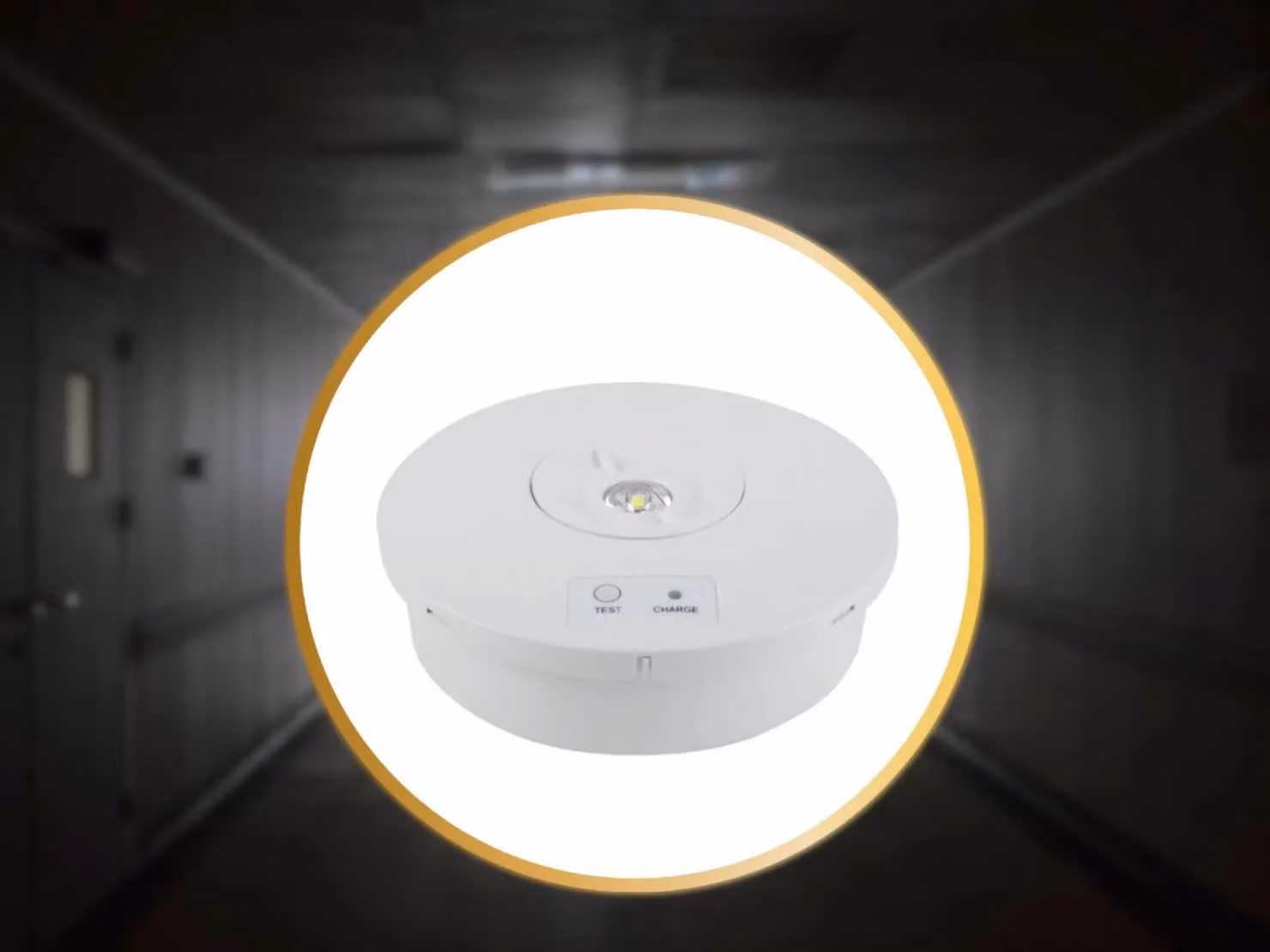 Lampada di emergenza a LED NEDES, 2W / 3 ore / IP65 - LEL601