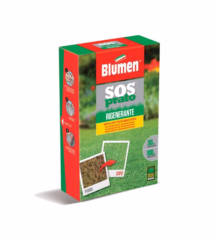 Blumen Prato Rigenerante Sementi 1 kg - Miscuglio per Tappeti Erbosi