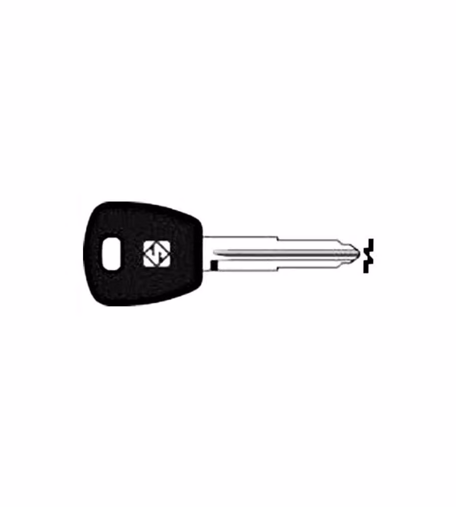 Chiave Transponder No Chip Proton PO1RTE