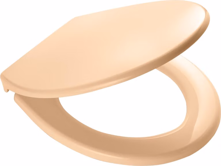 Sedile WC Ridder Miami con chiusura ammortizzata, beige 02101111
