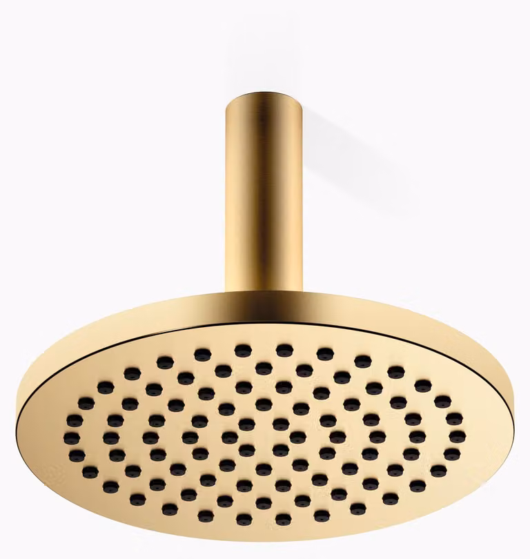 Douche de pluie Dornbracht avec fixation au plafond, Ø 220mm, 28669970-28, 28669970-28