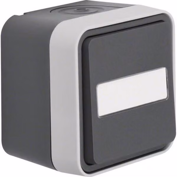 Interruttore a levetta Hager AP WNC006 con campo di etichettatura W.1, IP55, grigio