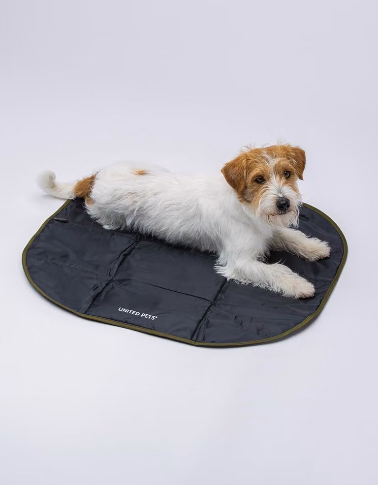 Tappetino per cani United Pets, modello Lazy Dog, disponibile nei colori: blu, nero, verde, tinta unita, forma rettangolare, materiale: poliestere, prodotto in Italia