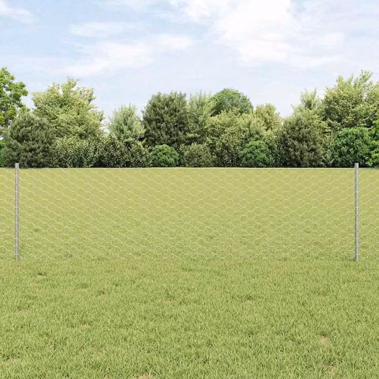 Maison Exclusive - Recinzione con Posto Argento 0,6 x 10 m Acciaio