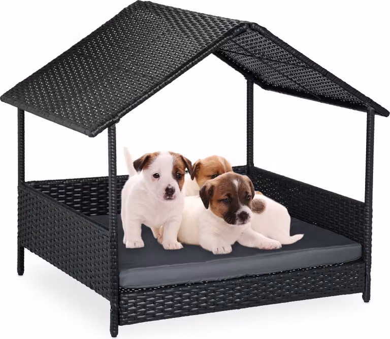 Relaxdays Lettino per cani con tettuccio, A x L x P: 81 x 90 x 68 cm, polyrattan, lettino rialzato con cuscino, per esterni, antracite