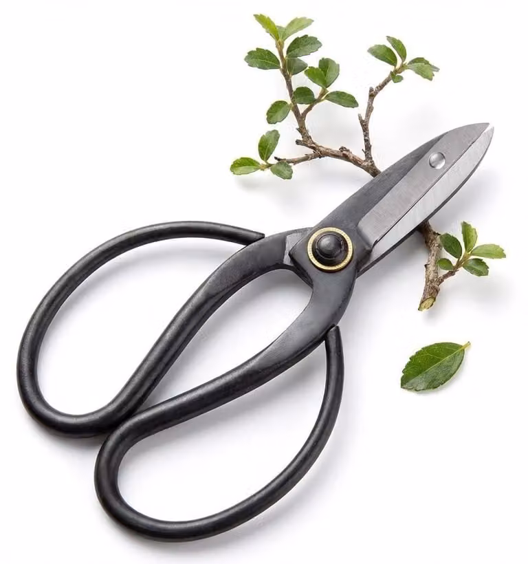Omgoods - Forbici in acciaio affilato per bonsai - Utensili professionali per bonsai
