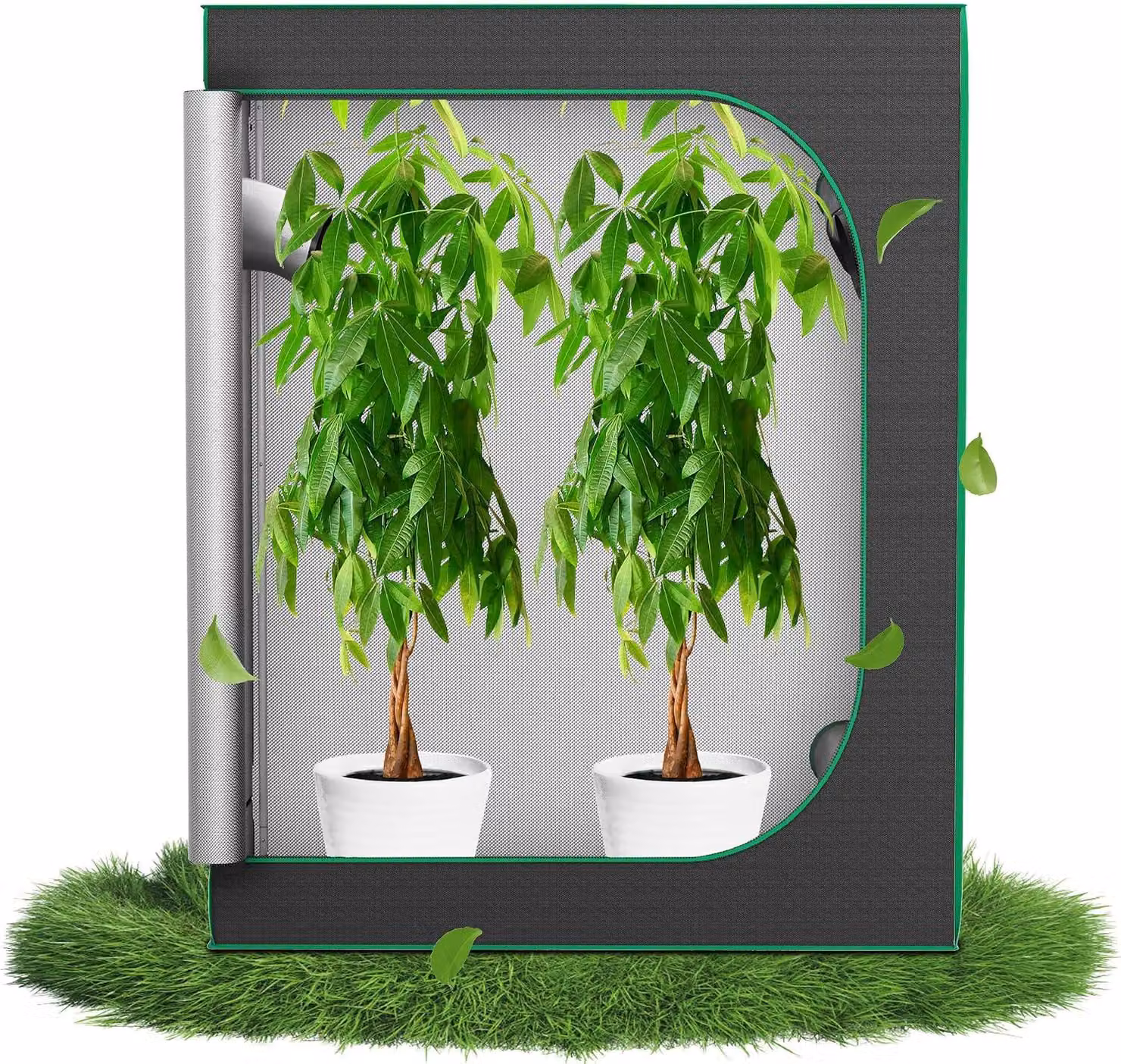 QEENTOE, tenda di coltivazione da interno 120x60x150 cm, ideale per la germinazione di ortaggi ed erbe aromatiche, serra per la coltivazione di piante