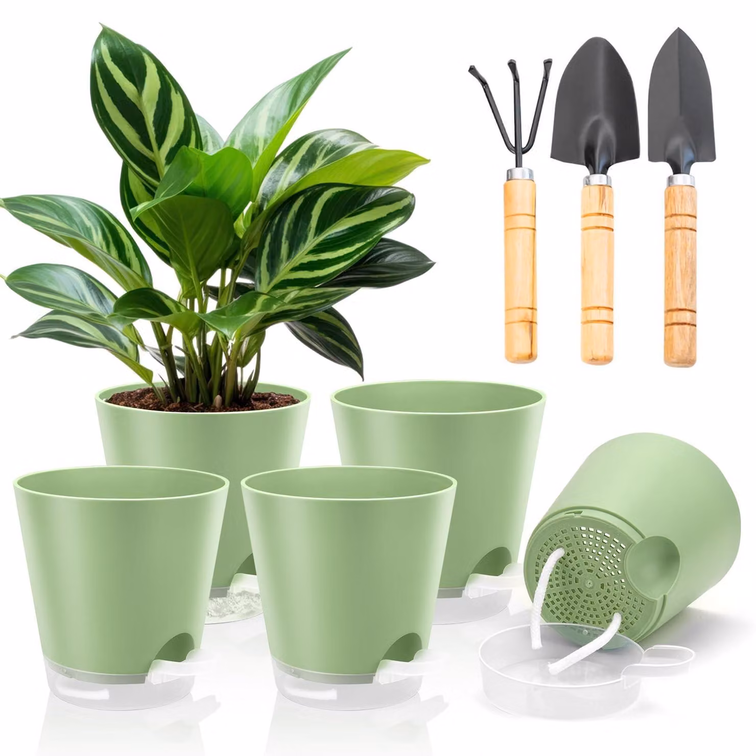 Set di 5 vasi autoirriganti, diametro 15 cm