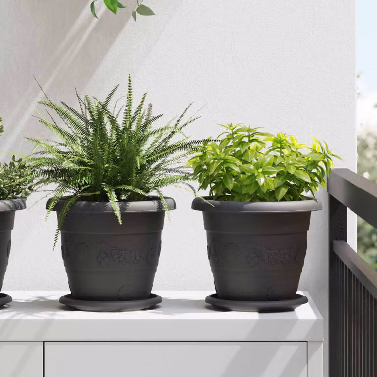 Set di 6 vasi per piante vidaXL in plastica nera, Ø 22 cm x H 18 cm