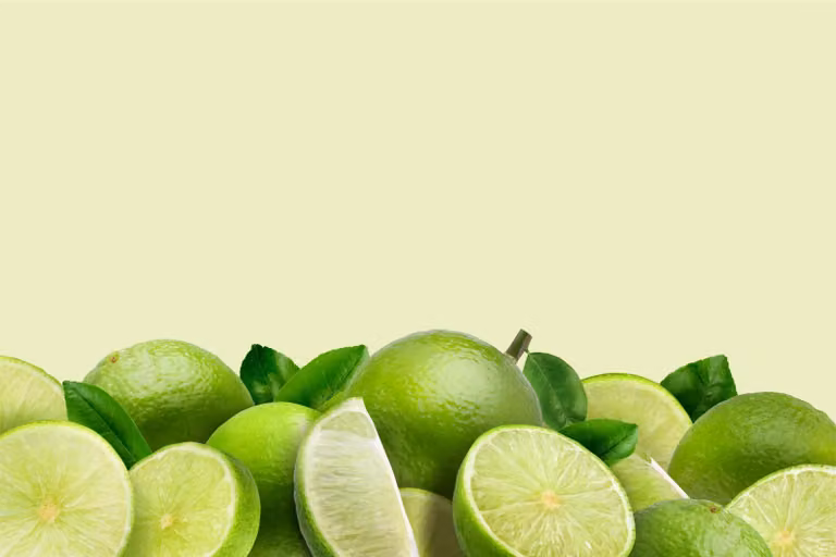 Protezione per radiatori Tappo magnetico Verde Decorazione per la cucina 60x100cm Lime