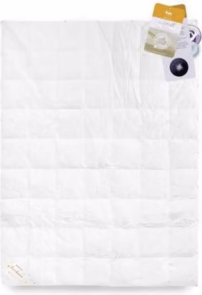 Piumino GÄNSEDAUNEN 70% 220x200 Basic Plus 2000g PREMIUM bianco