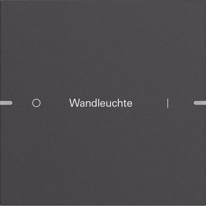Set di pulsanti a bilanciere Gira 1f con sensori a sfioramento individuali, 4,95, alluminio antracite (laccato), 5031928